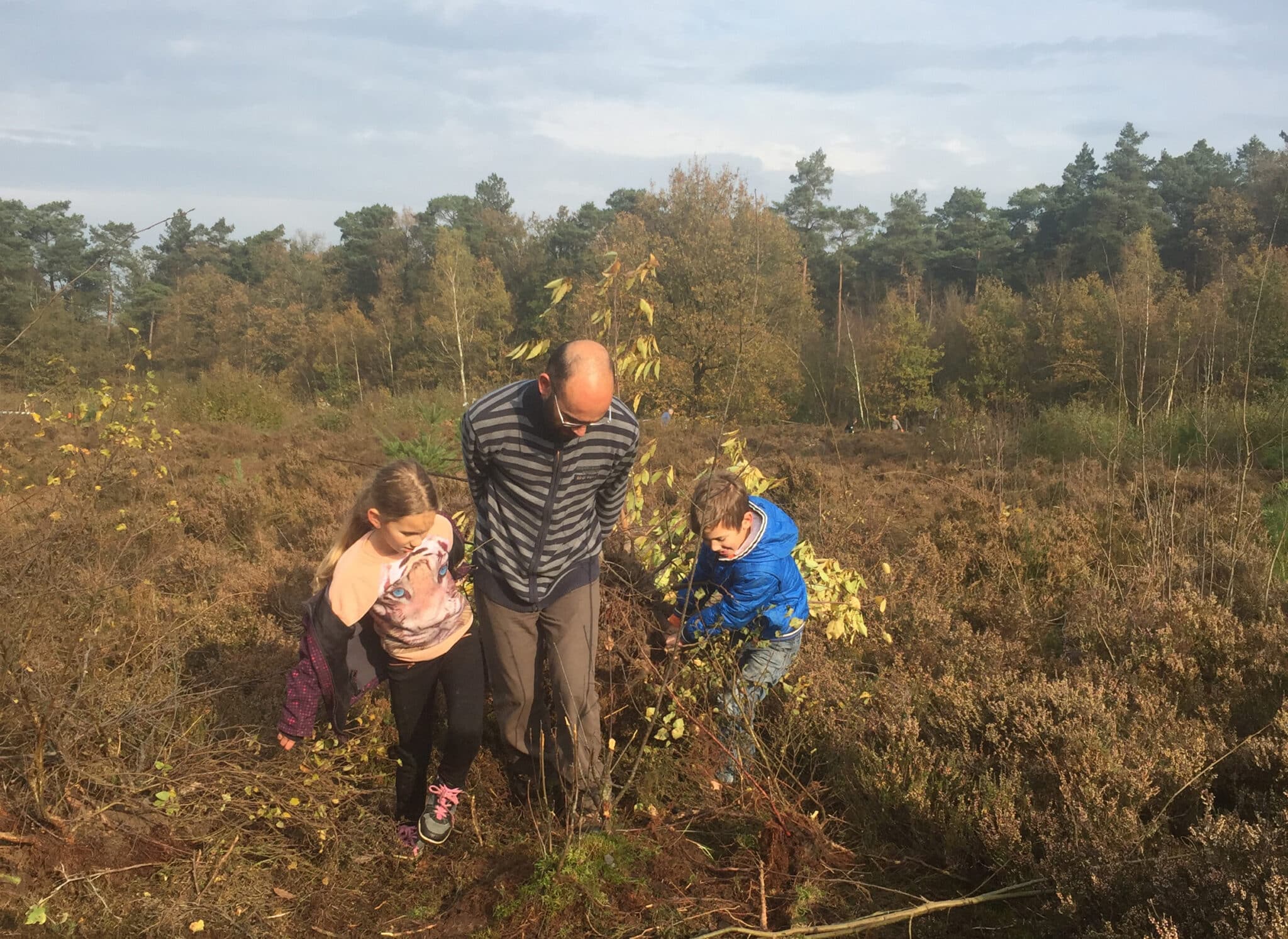 Aekingerzand Drents Friese Wold Natuurwerkdag