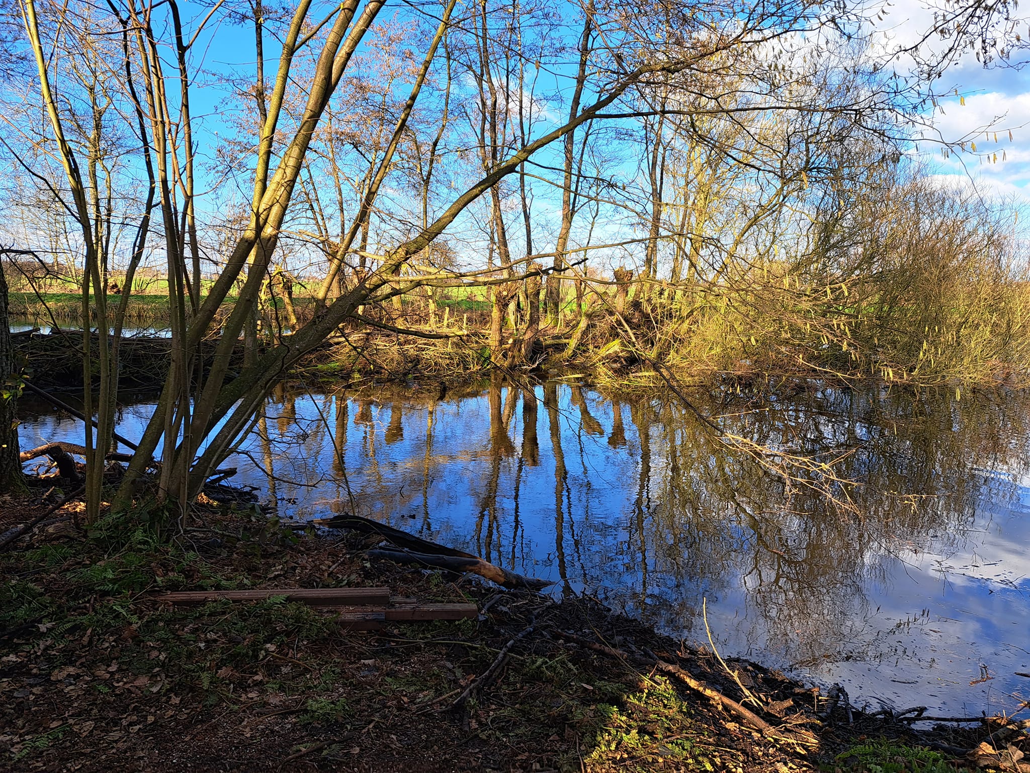 Klussen Meiland Natuurwerkdag